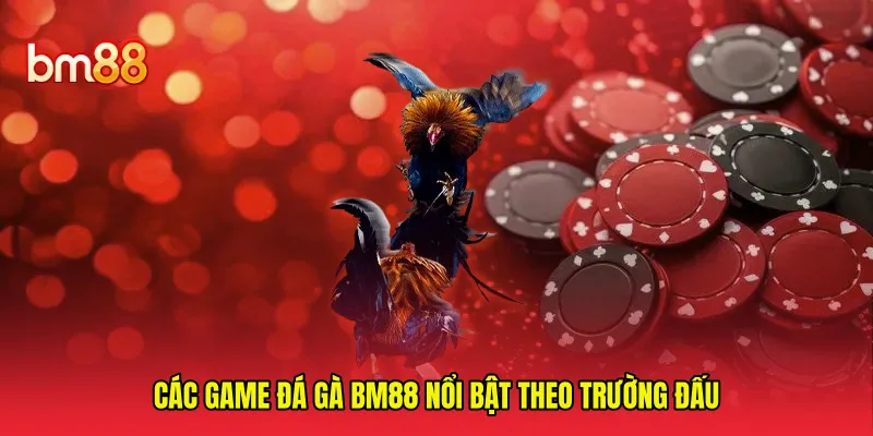 Các game đá gà BM88 nổi bật theo trường đấu 