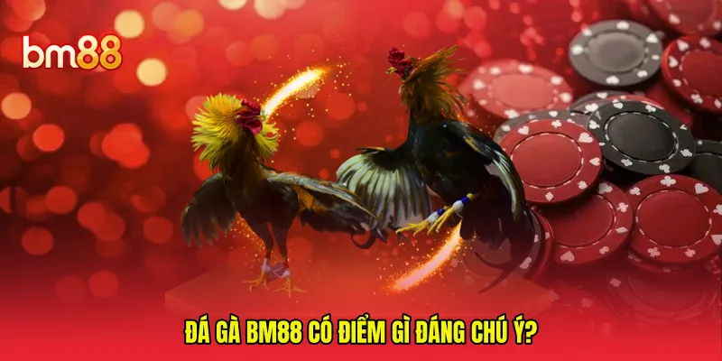 Đá gà BM88 có điểm gì đáng chú ý? 