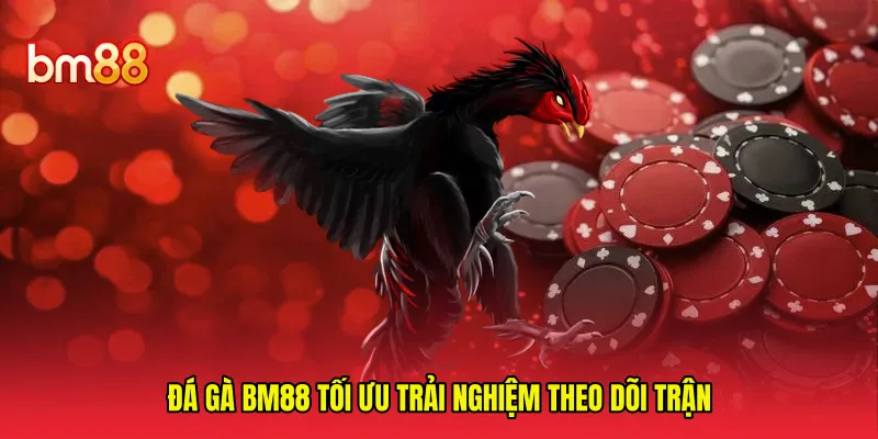 Đá gà BM88 tối ưu trải nghiệm theo dõi trận 